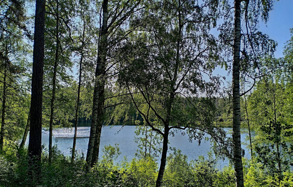 satu_iida's tweet photo. Minä avaan syömeni selälleen
ja annan päivän paistaa,
minä tahdon kylpeä joka veen
ja joka marjan maistaa.

Minun mielessäni on juhannus
ja juhla ja mittumaari,
ja jos minä illoin itkenkin,
niin siellä on sateenkaari.

~ Eino Leino

Ihanaa juhannusta Sinulle! https://t.co/FriN1Lj3Xa