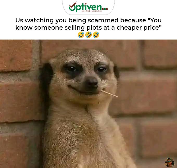 Trust us to walk the investment journey with you until you get your title deed 

#ZindukaNaOptiven