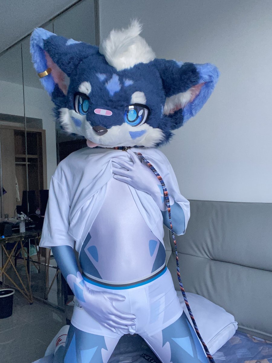 xianyunyanba's tweet image. 符合原著

#FursuitFriday