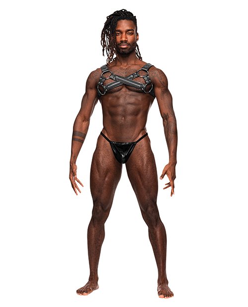 ESEXYMALE's tweet photo. Virgo PU Leather Chest Harness w/Zipper Detail https://t.co/ZvOS0hbWOs