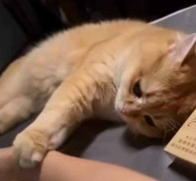 तुम्हारे बिना मुझे 60 सेकंड 😥
      भी 1 मिनट लगता है बाबू🤣🤣