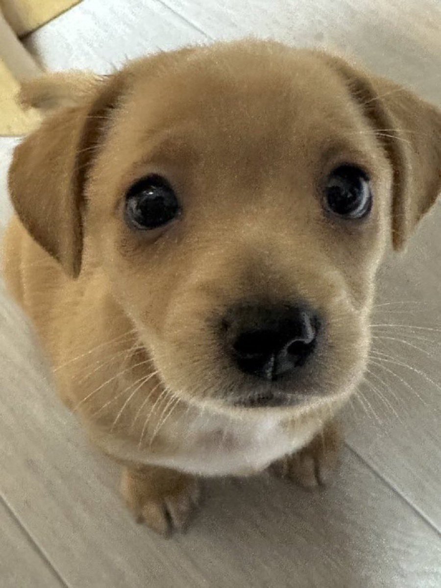 do u guys still fw me