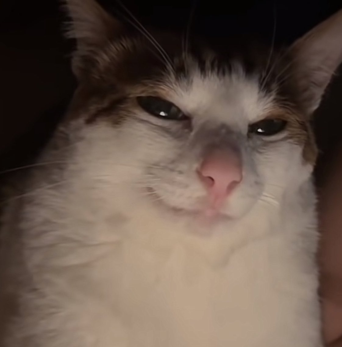 This PCC broadcast lookin juicy