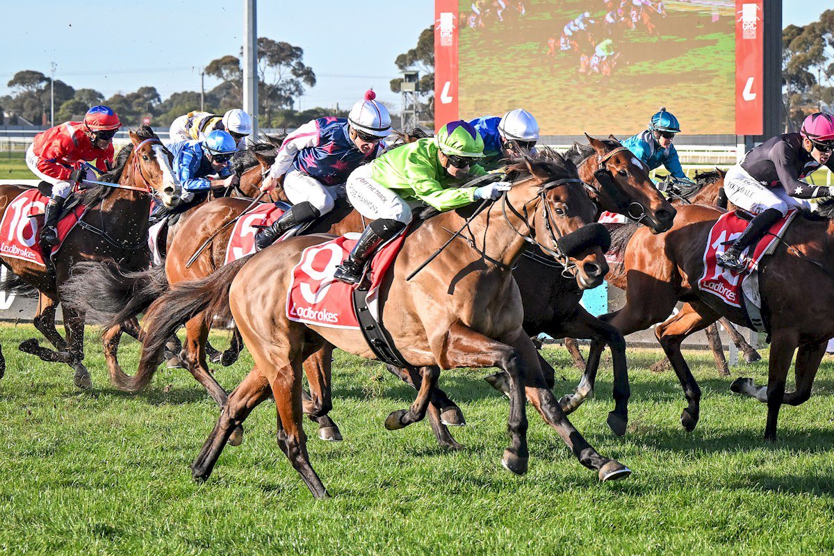 Liam Howley Racing (@howleyracing) on Twitter photo A powerful finish saw Onlygoldwilldo win impressively <a href="/GeelongRaceClub/">Geelong Racing Club</a> today. Given he was 1st up, Onlygoldwilldo looks to be in for a big preparation and will hopefully realise the potential he has shown. Congratulations to his loyal ownership group. A powerful finish saw Onlygoldwilldo win impressively <a href="/GeelongRaceClub/">Geelong Racing Club</a> today. Given he was 1st up, Onlygoldwilldo looks to be in for a big preparation and will hopefully realise the potential he has shown. Congratulations to his loyal ownership group.