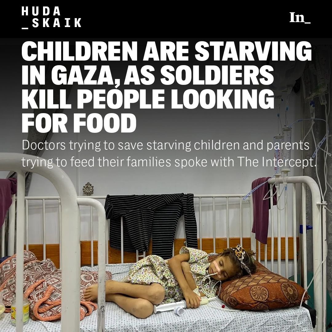 Motasem A Dalloul (@abujomaagaza) on Twitter photo 