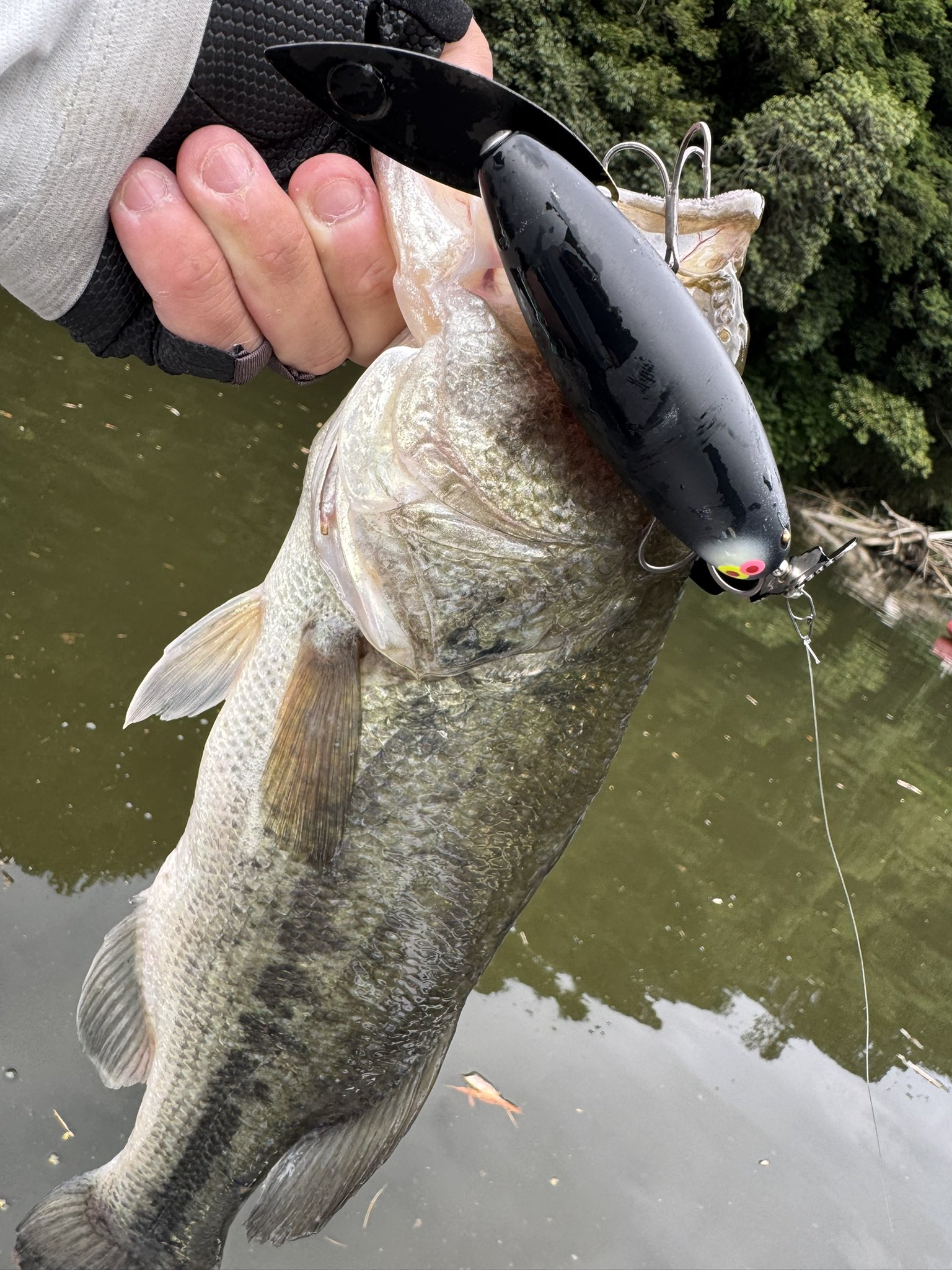 Ryo Sakurai【MPB LURES】【GRAVEL】 (@mpb_lures) / X