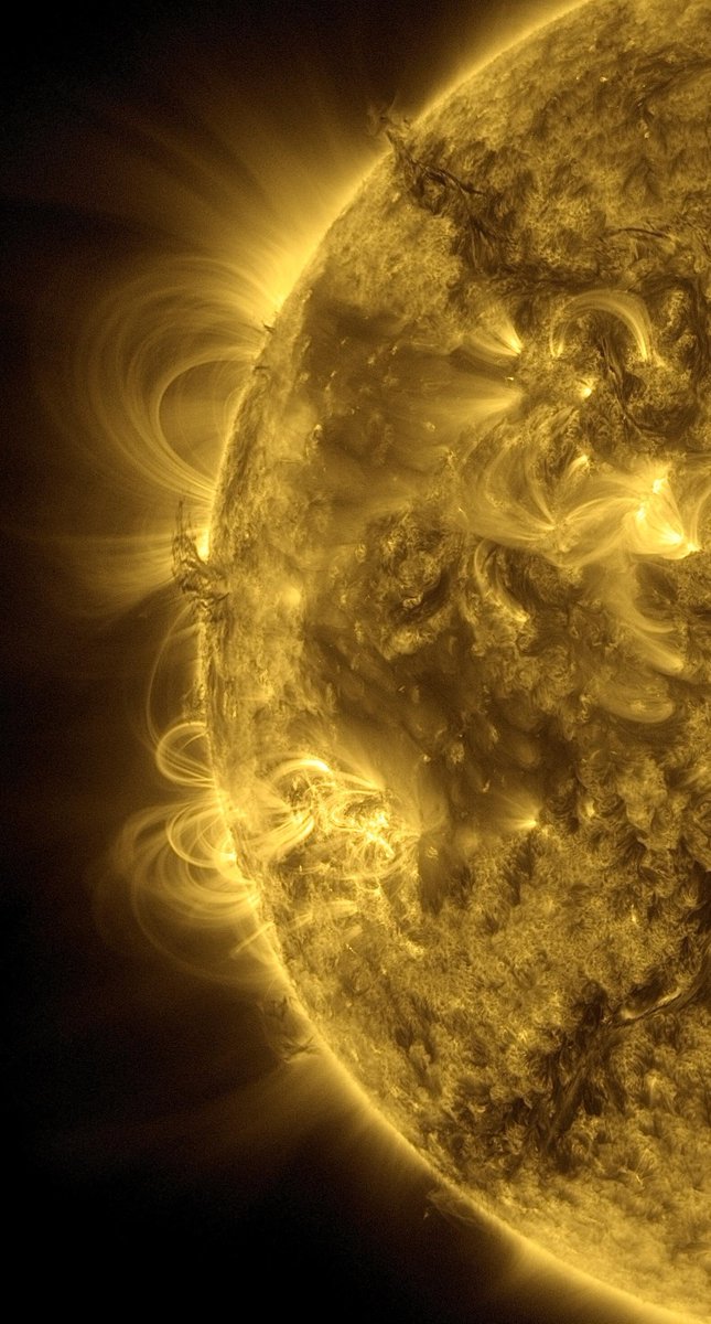 moin und einen happy Freu/Brückentag, ihr Hübschen 🥰😘

diesmal mit einem aktuellen Bild der Sonne via Satellit SDO, heute ausnahmsweise mal etwas kontrastverstärkt und nachgeschärft

damit ihr wisst, wer euch die nächsten Tage einheizt 🫠🫠🫠