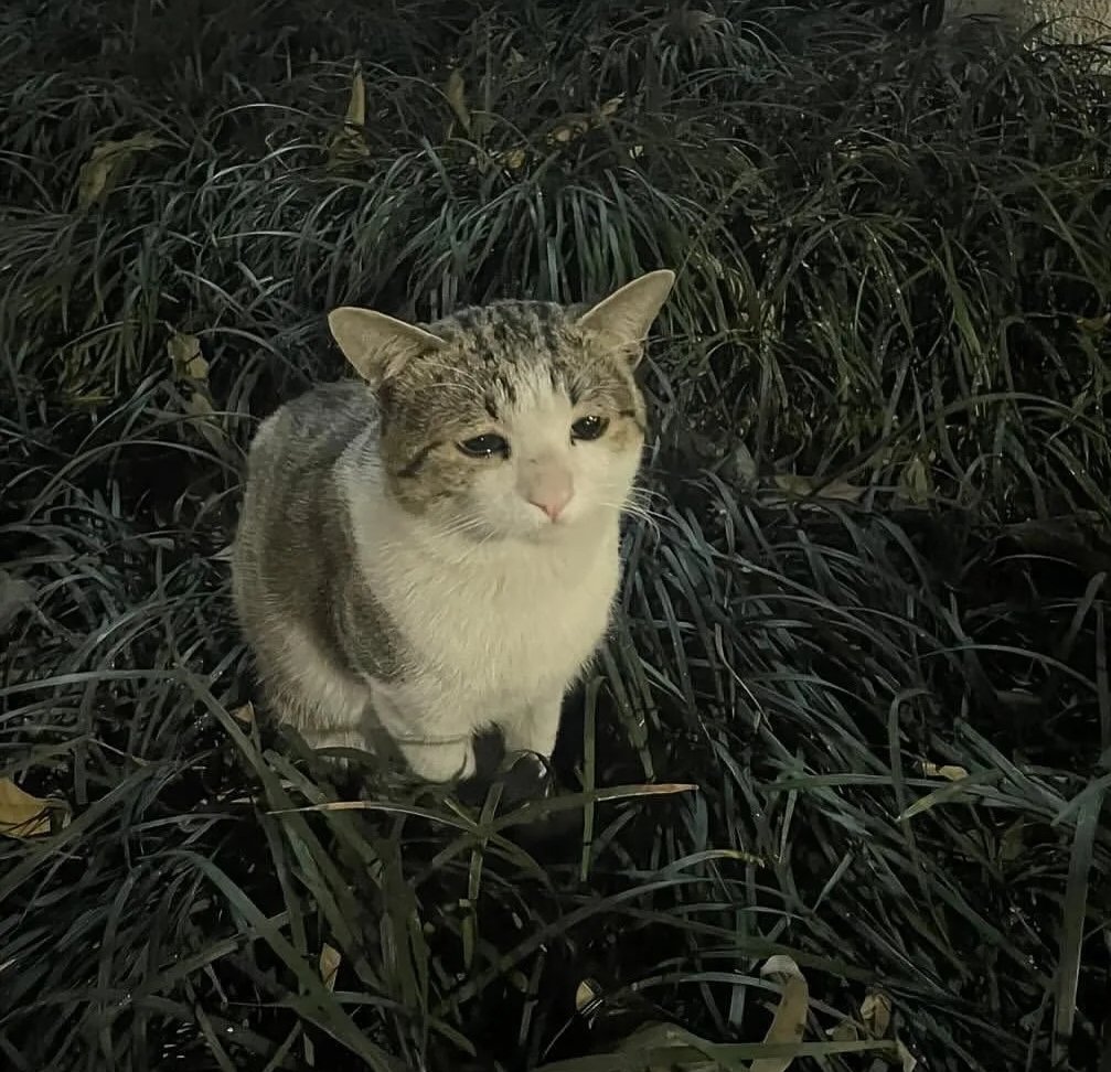 QUANDO TI DICONO CHE PER AVERE QUEL FISICO SI ALLENANO CON COSTANZA DA ANNI MA A TE SERVIVA PER DOMANI