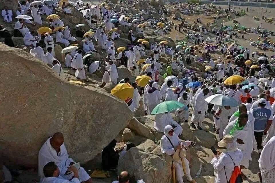 الذين يحبون الله حقًا، لا يملكون وقتًا ليكرهوا أحدًا

Mereka yang sungguh-sungguh mencintai Tuhannya, tak punya waktu untuk membenci siapa pun.”

— Maulana Jalaludin Rumi