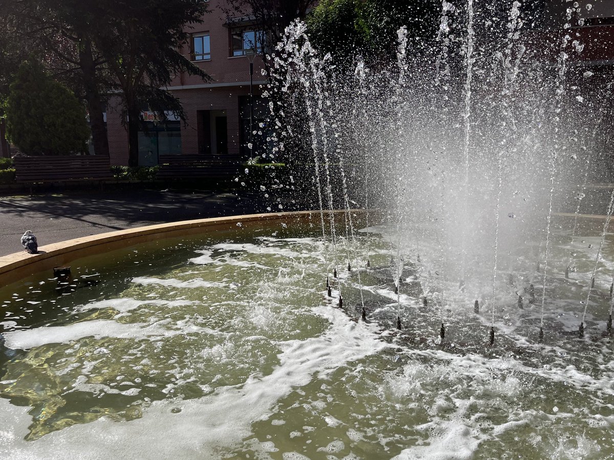 Erremediorik onena #beroa presente denean. Ura eta itzala. 
#sasitxiotx
#asteanbehin