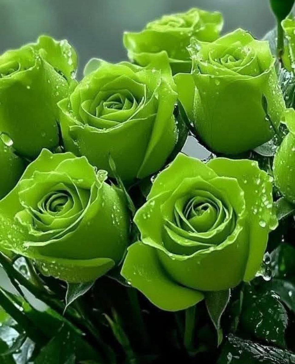 جمعہ مبارک 
اسلام علیکم ورحمتہ اللہ وبرکاتہ