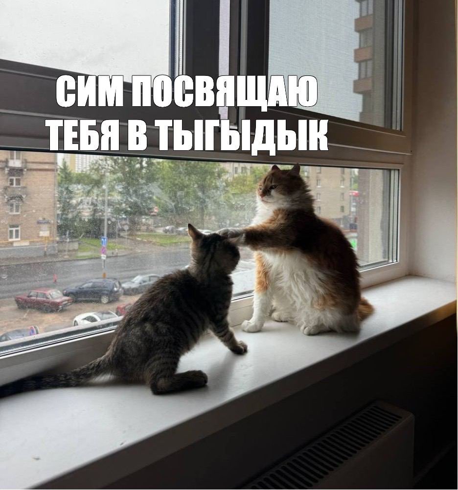 Сделала мем с котами <a href="/de_cadence/">когнитивное ультраусилие</a>