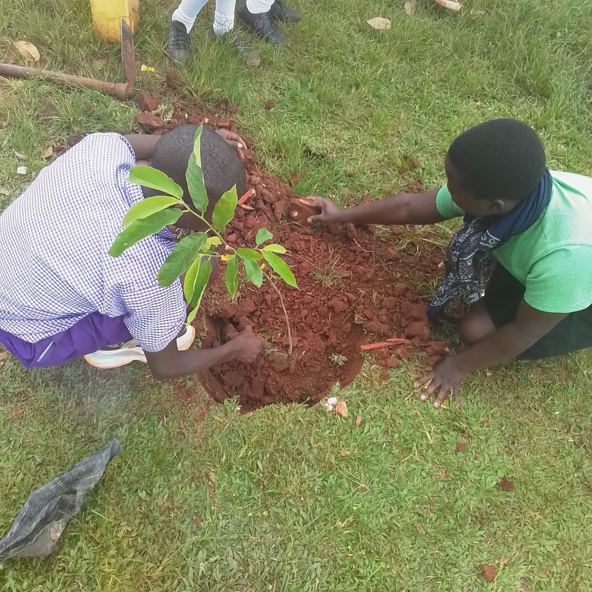 Partnering for a greener tomorrow!
Under our Education Finance portfolio, we’ve joined hands with <a href="/LuTreeCo/">Lukango Tree Conservancy</a> to plant indigenous trees in schools a move that promotes both conservation and learning.

Through active green clubs formed in schools, students are not only nurturing the