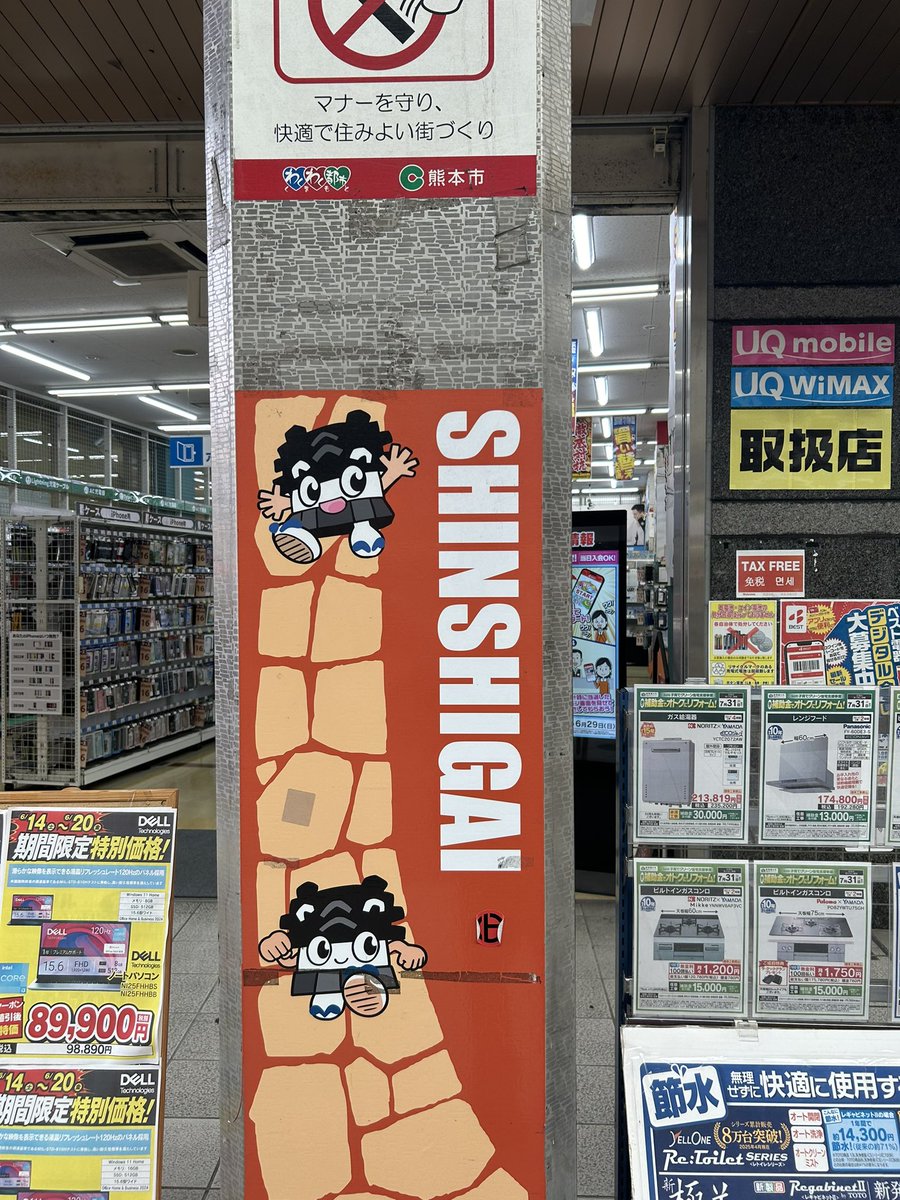 熊本のSHINSHIGAIにいる