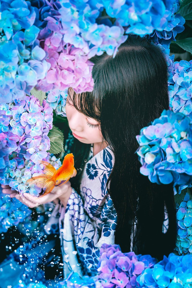 紫陽花に溺れそう