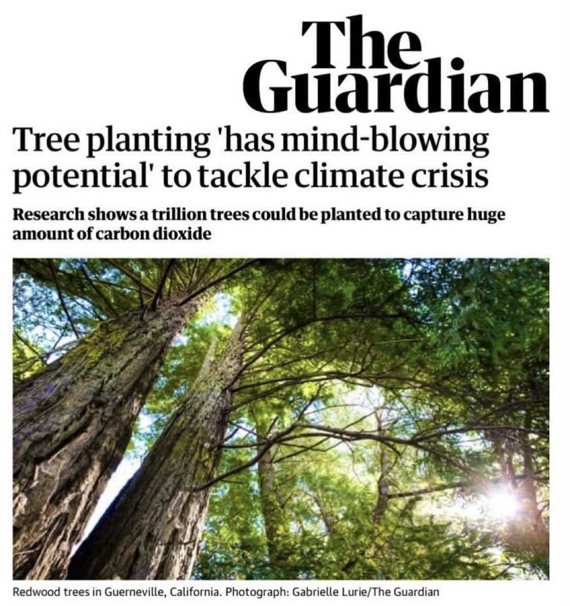 No shit, Sherlock. We learned this at school. 🌳