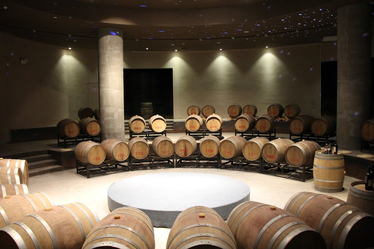 Snaphots from memorable trip <a href="/pietrosd/">🍾🍷PIETROVINI🍷🍾</a> <a href="/CHARLIEWINES/">CHARLIE ARTURAOLA</a> <a href="/winematcher/">Fiona Beckett</a> <a href="/wineworldnews/">wineworldnews</a> <a href="/winewankers/">The Wine Wankers 🍾🤛🎉🥂</a>   to China #Ningxia on border with #Mongolia for <a href="/concoursmondial/">Concours Mondial de Bruxelles</a>  #wine competition. Discovered unique Chinese vineyards&amp;cellars, bio and biodynamic wines and stunning wine resorts.