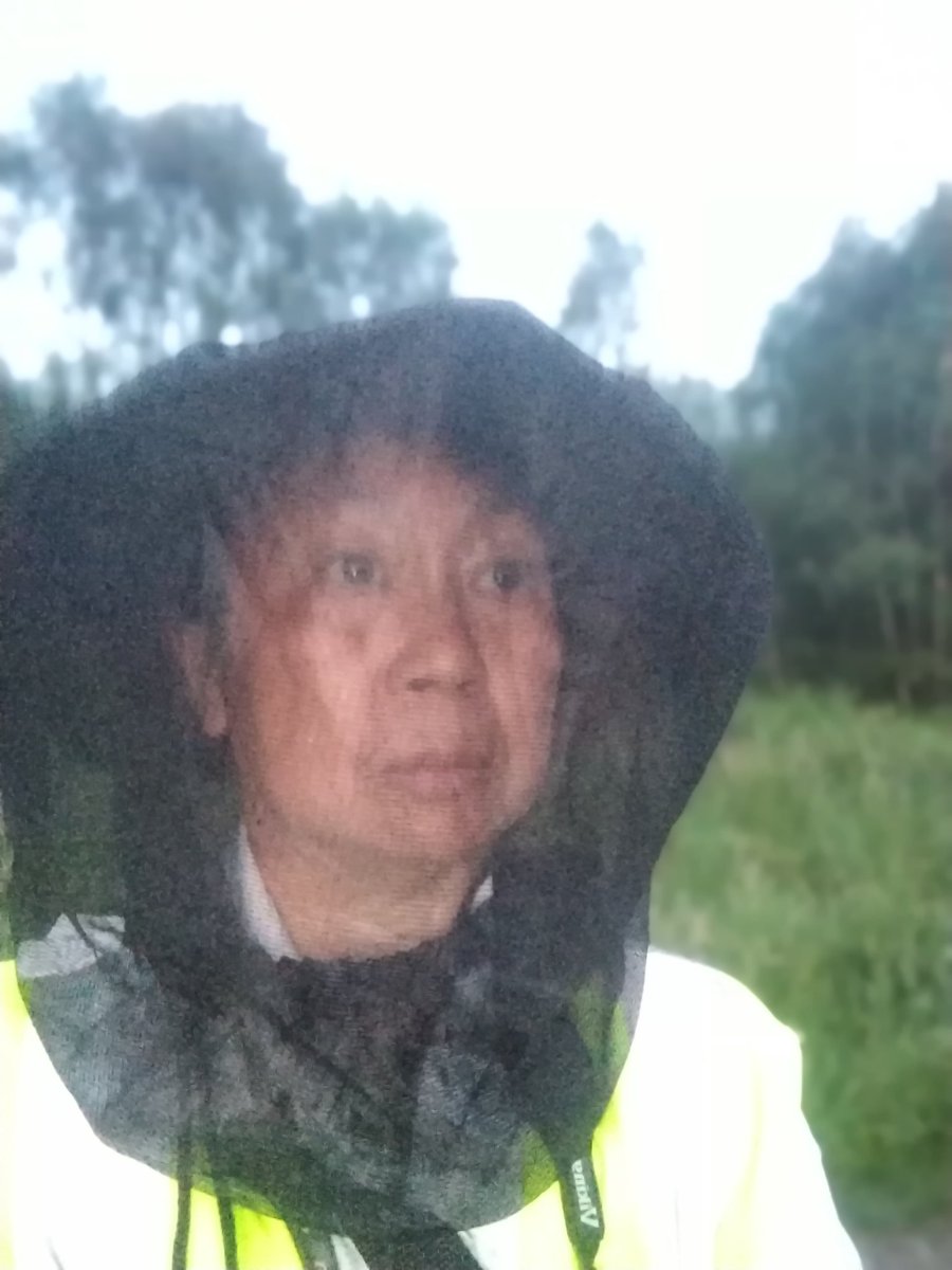 AilinKee's tweet image. Surveyed my 2nd Nightjar sq last night at Llwyn Onn &amp;amp; @forestholidays Garwnant. Took a while to hear any. Fortunately, there were 2 churring males. Not so fortunate, there were midges hence the fashionable head gear. Bonus-quite a few toads about😊. #birdsmatter #ForestFeeling
