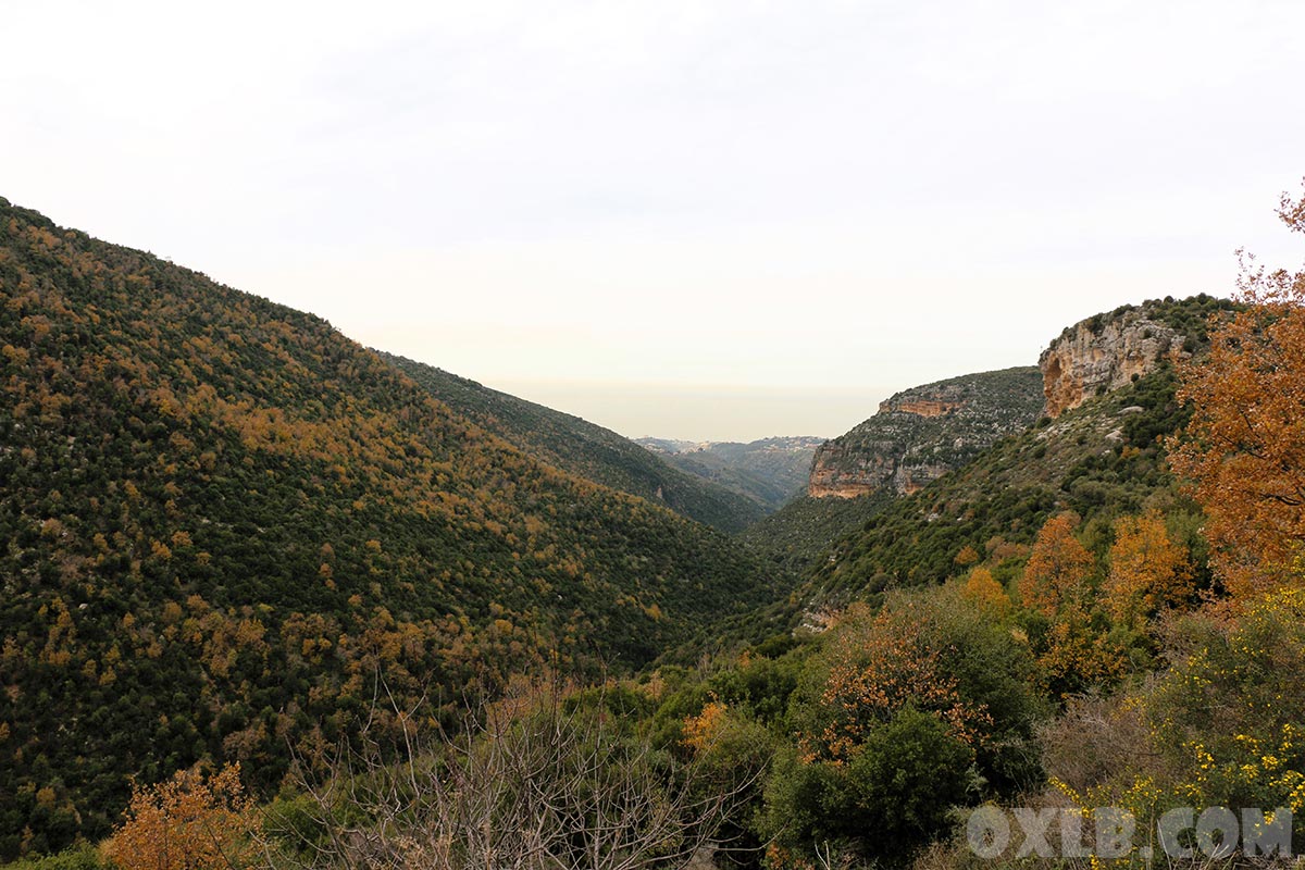 Look at this beauty... the mountains surrounding the village of Habil Jbeil, Byblos district... We love Lebanon. Visit lebanonart.com

#visitlebanon #lebanon #habil #habeel #lebanonbeauty #discoverlebanon #lebanonart #jbeilbyblos #livelebanon #ilovelebanon #lovelebanon