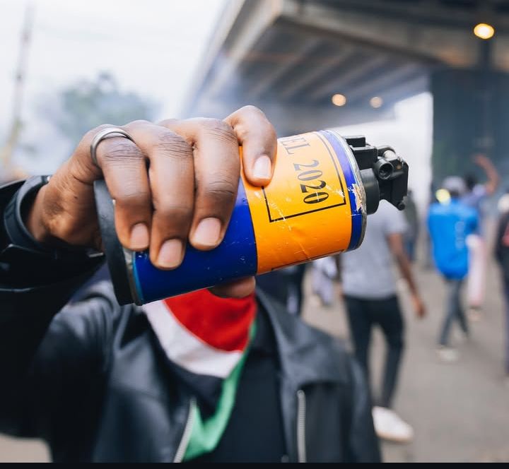 Can you smell that? It's the Smell of Freedom!!!
#OccupyStatehouse2025