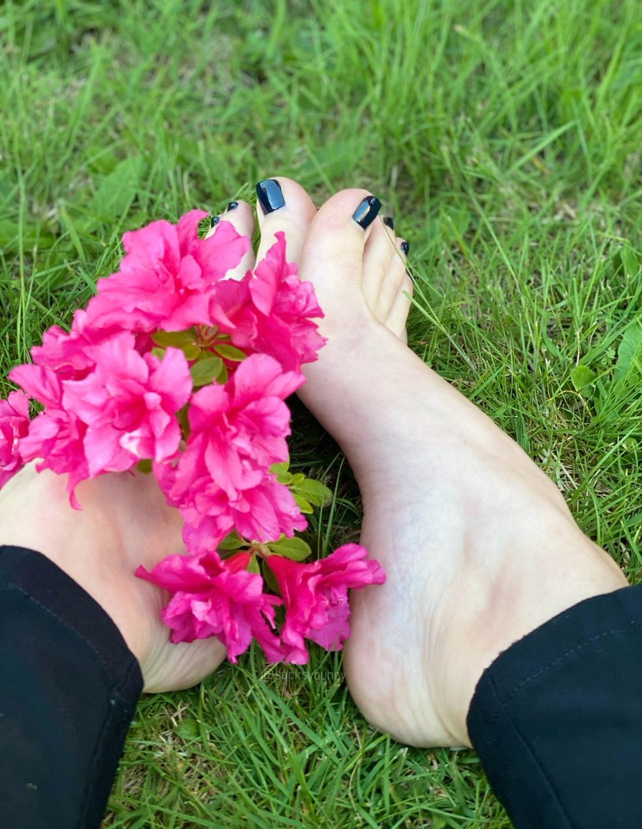 Arched just right, toes painted black, pretty pink petals right where your eyes belong 🌸😌 Bet you’d give anything to be under these feet right now… keep those tributes coming, baby 💋🖤🦶#feet #pedicure #fetish #footmodel