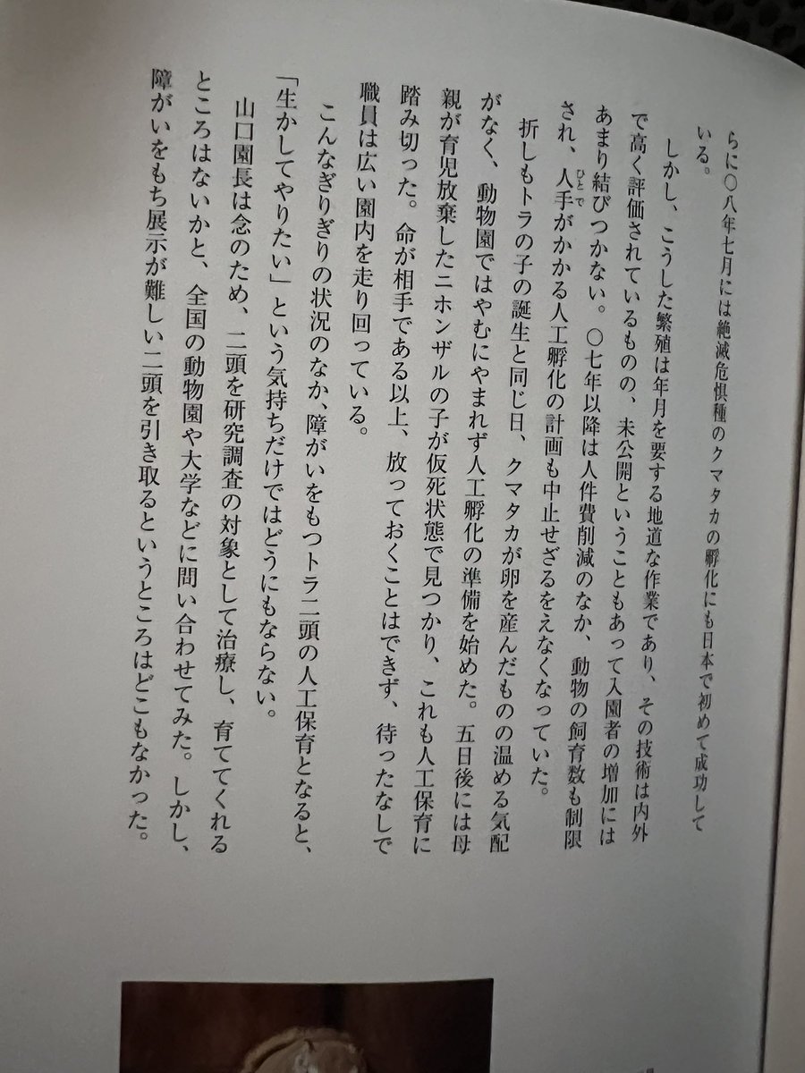 huber_mambaken's tweet photo. 当時の園長さんが市長に判断を仰いだときの様子についてはこの本に書かれています。涙なしには読めません。

「タイガとココア」
障がいをもつアムールトラの命の記録

やはり重要な記録として再刊されることを望みます https://t.co/hM32WN8ZTL