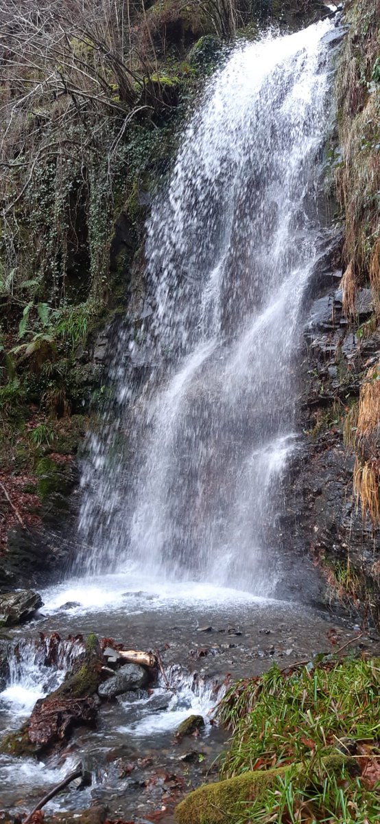 #Beroa arintzen duen zurruzta.
#asteanbehin #sasitxiotx