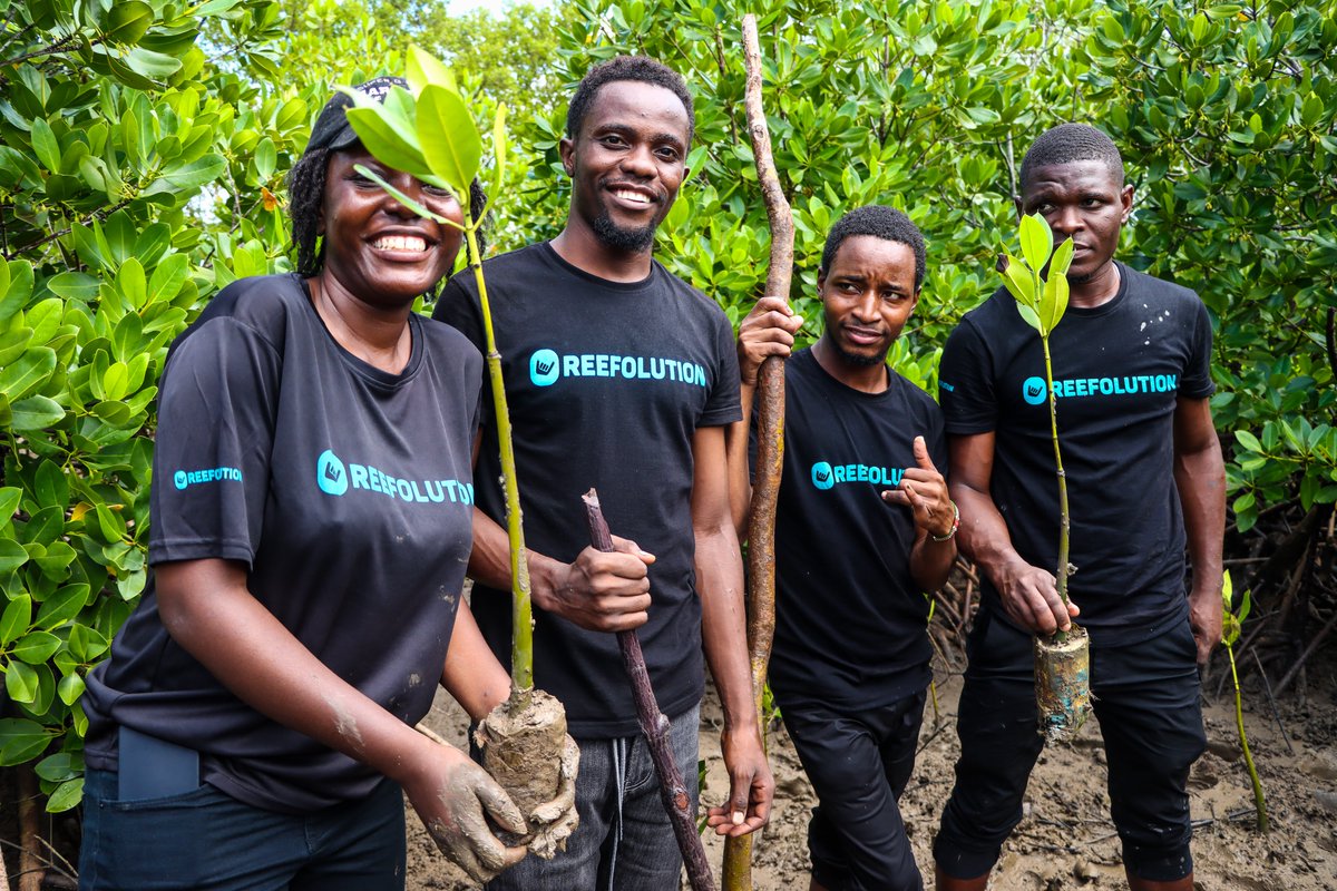 REEFolutionKe's tweet photo. 🌿On June 4, Mwamdudu BMU held a pre–World Environment Day event at Kisiwa Panya, Kinango.
Since 2021:
✅ 27,000+ mangroves planted
✅ Hosted MIHARI (Madagascar)
✅ Advancing sustainable livelihoods
Planting hope, one mangrove at a time🌱
#REEFolution #Mangrove #BlueCarbon #SDGs https://t.co/TmAhzYd1H4