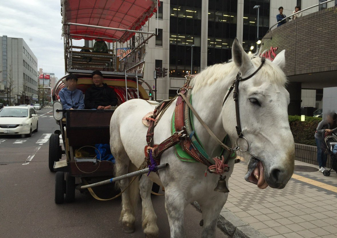 #ラジオノマド
 #stvradio 馬車BAR楽しそう。
コロナ禍前には札幌市内でも馬車乗れて、めちゃ楽しかったなぁ。。