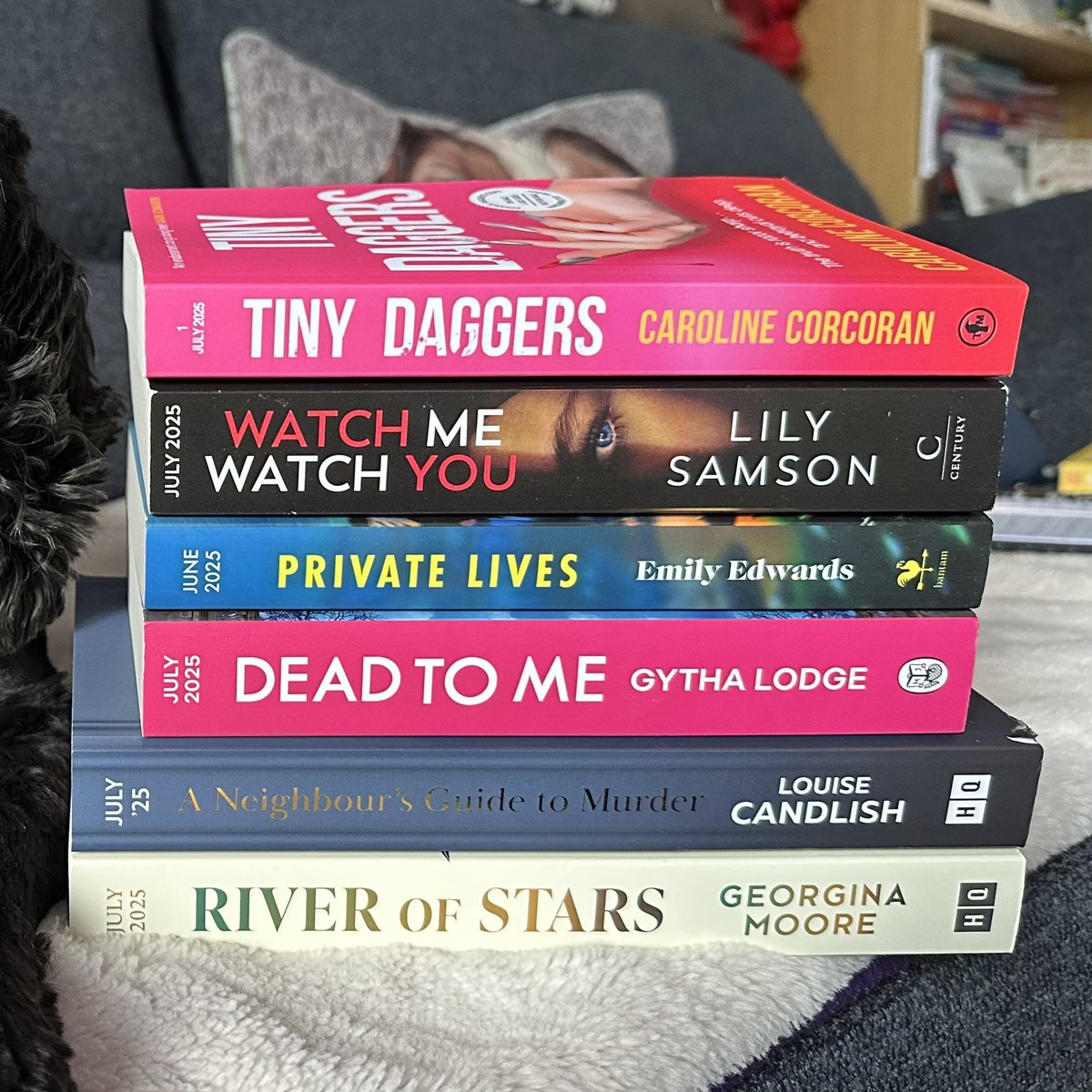 Shona Holmes-Berry (@shonaholmes23) on Twitter photo 🐶📚TAKE YOUR DOG TO WORK DAY!📚🐶
Today is #takeyourdogtoworkday, as I work from home, I am lucky enough to have Willow as my workmate every day!🐾
Willow has picked six books I’m planning to read soon, I think you’ll agree she’s done a fabulous job!👏🫶❤️
#BookTwitter 🐶📚TAKE YOUR DOG TO WORK DAY!📚🐶
Today is #takeyourdogtoworkday, as I work from home, I am lucky enough to have Willow as my workmate every day!🐾
Willow has picked six books I’m planning to read soon, I think you’ll agree she’s done a fabulous job!👏🫶❤️
#BookTwitter