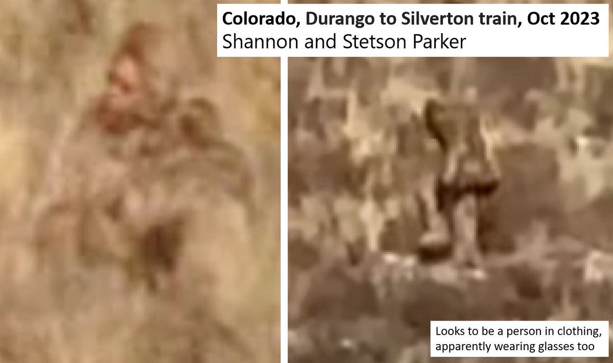 It’s the same commercially-available suit that was used in the recent Colorado Train Hoax.  

undeadmonsters.com