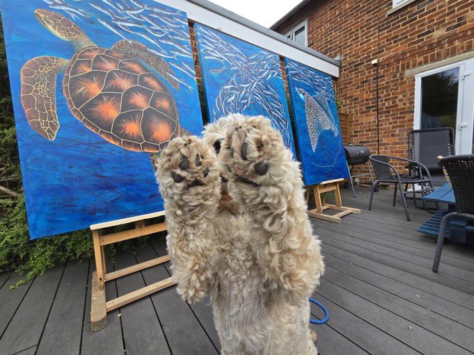 With all this lovely sunshine, it means I can exhibit my big paintings in the garden. This triptych of paintings’Turtle, Sardines &amp; Eagle Ray’ are 100cm x 150cm on box canvases. This is the final weekend of South East Open Studios 2025…What3words:///solved.freshen.ridiculed
