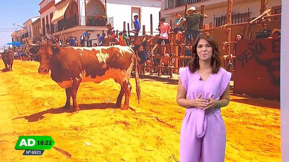 LOCURA los datos de @ADirecto en la tarde de <a href="/canalsur/">CanalSur</a> 

➡️ LÍDER EN ANDALUCÍA con un 17.5% de share y una media de 277.000 espectadores

➡️ LO + VISTO del canal en el día y 546.000 espectadores únicos

#QueVivaLaTele #Audiencias