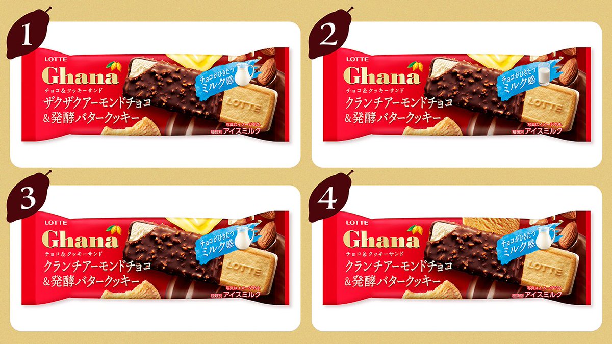 お菓子ガーナミルクチョコレート詰め合わせまとめ売り ロッテ