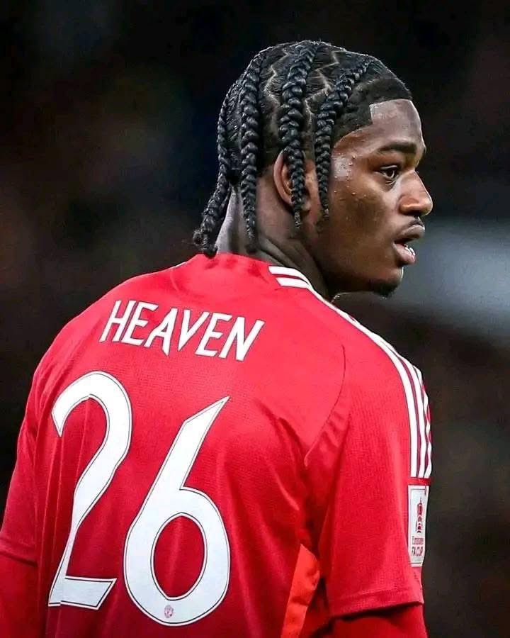Red Devil Updates tweet media