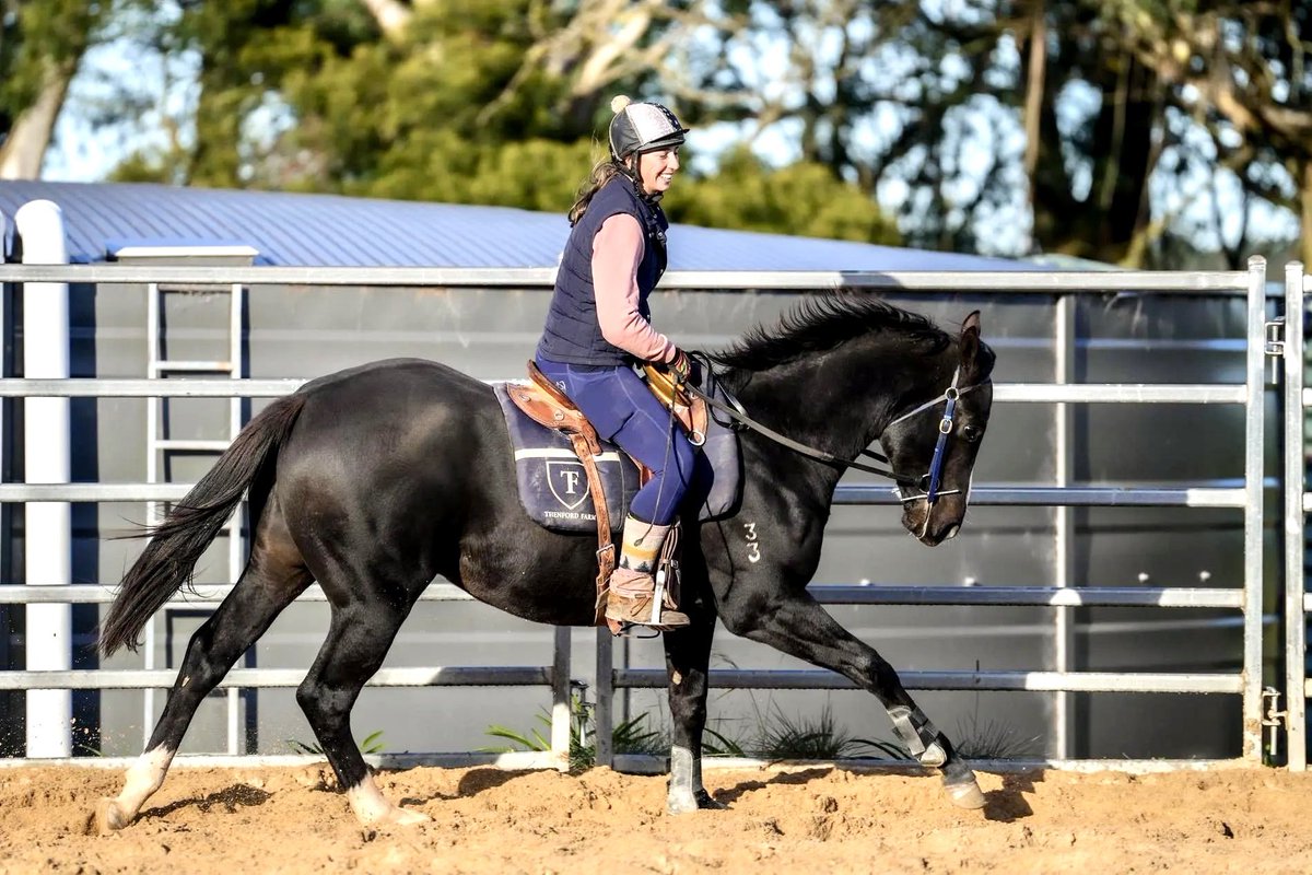 PR🟢VEN Thoroughbreds tweet media