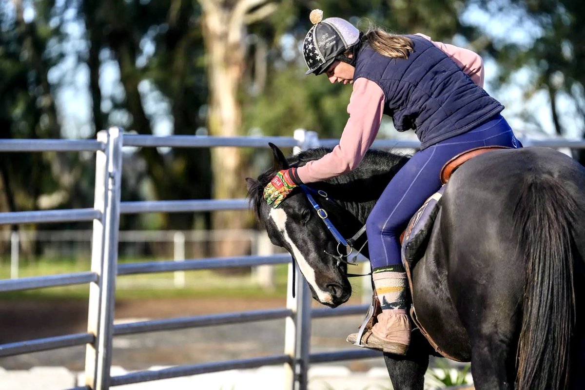 PR🟢VEN Thoroughbreds tweet media