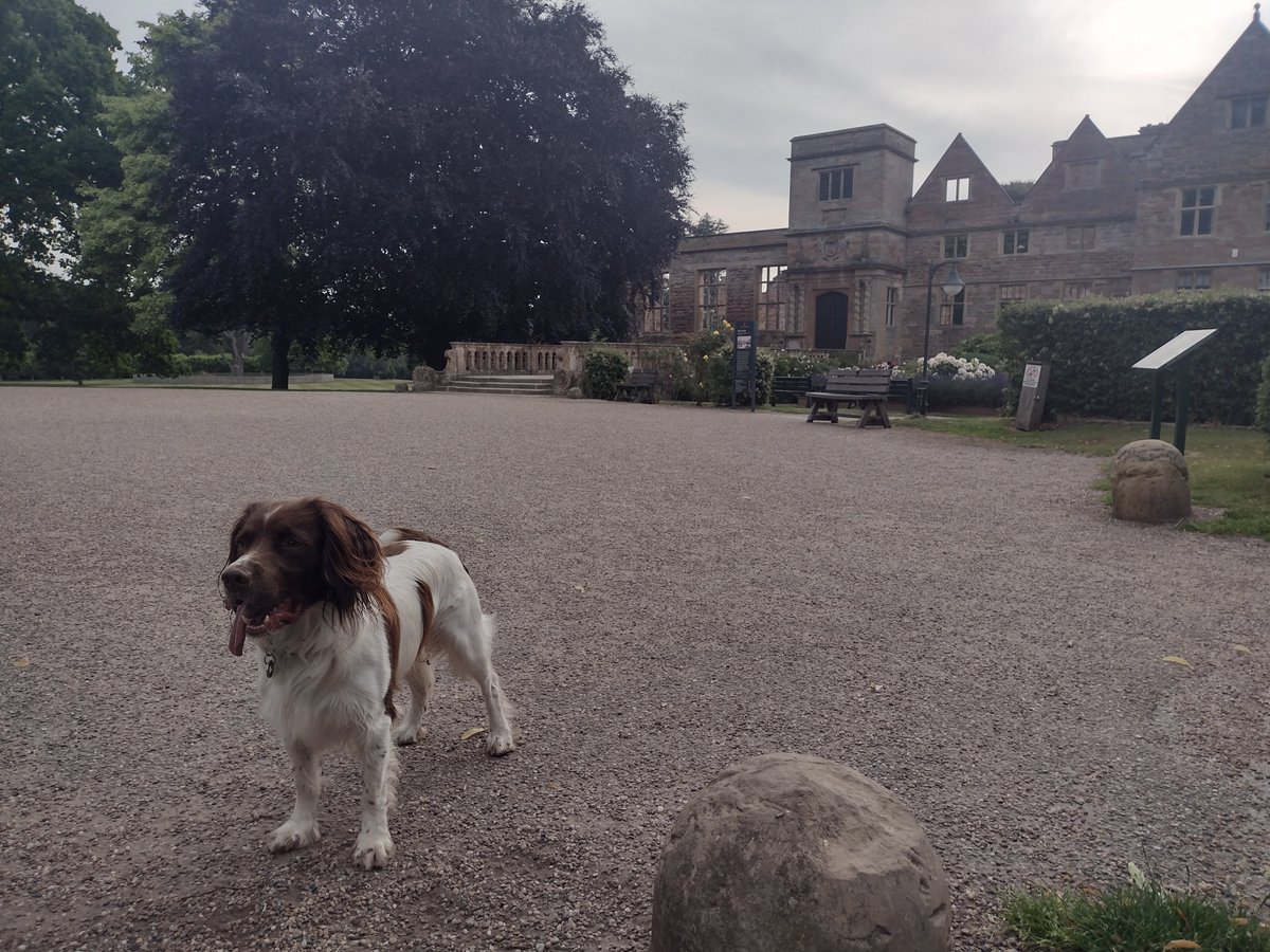 JonathanKBall's tweet image. #EasyFriday #WheresBilly