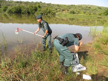🛡️ El Servicio de Protección de la Naturaleza de la
<a href="/guardiacivil/">Guardia Civil</a> es la primera policía medioambiental de #Europa. Su misión es velar por la conservación de la naturaleza y el medioambiente.
Si observas alguna irregularidad #Denuncia 
📱062 
📩 seprona@guardiacivil.org
#SEPRONA