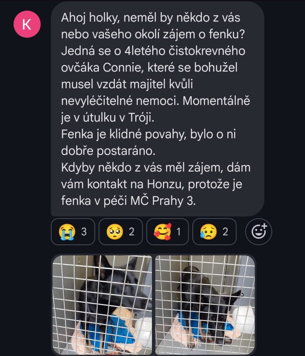 Nevíte někdo o někom, prosím?