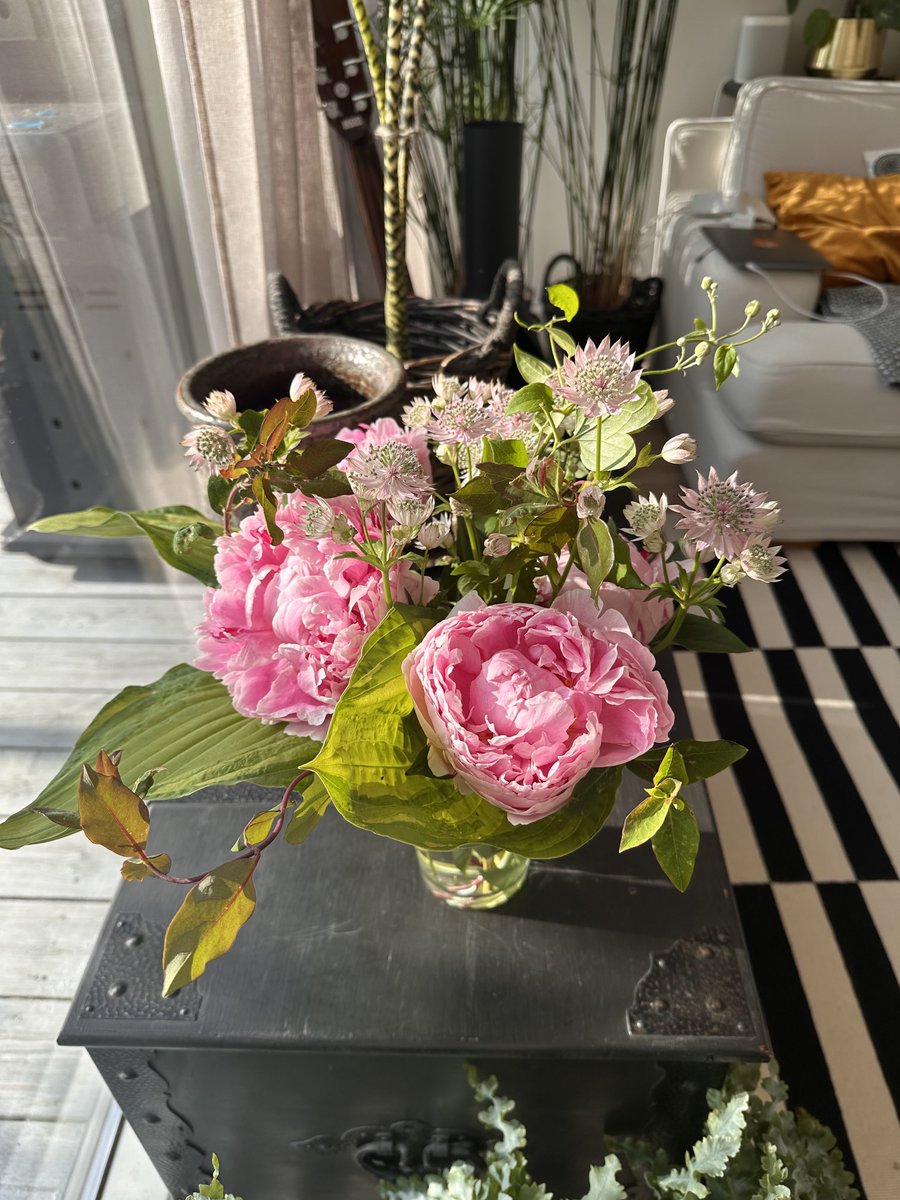 Good morning guys 🥰☺️
Preparing for midsummer’s festival 💐 see you all soon