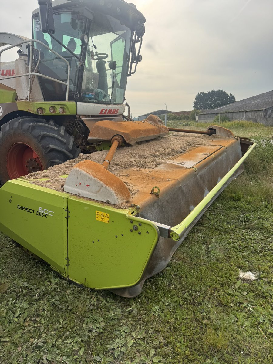 It’s ok there is no disease about.