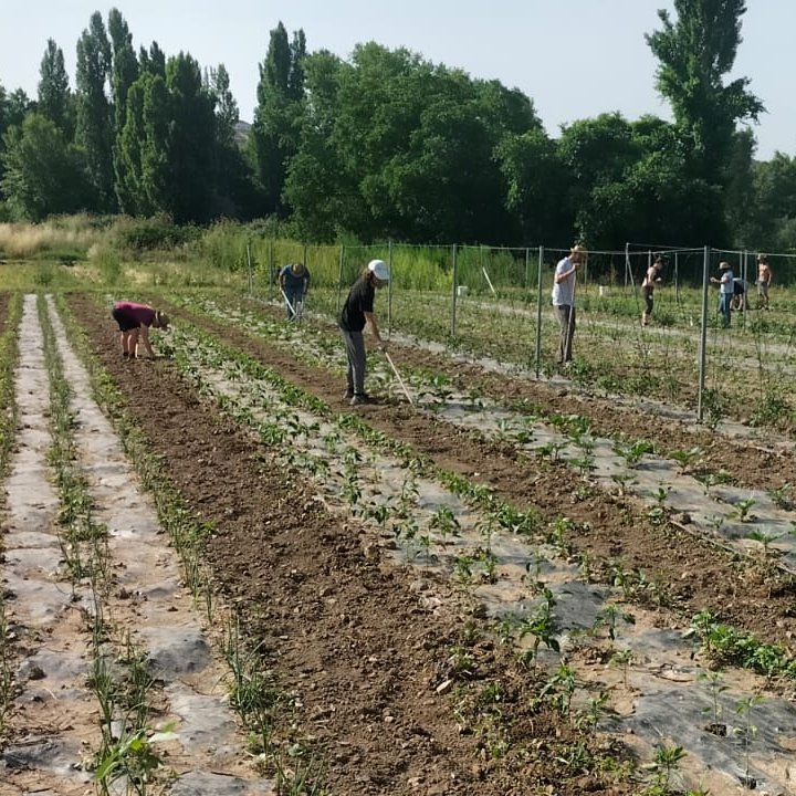 🏵️Proseguimos la formación del sector agrario. Hemos lanzado 35 cursos y jornadas para los sectores agropecuario, agroalimentario,  forestal y rural.

💵Son 1.400 plazas y más de 1.000  horas didácticas. Todas estas actividades son gratuitas y se celebran en distintos municipios.