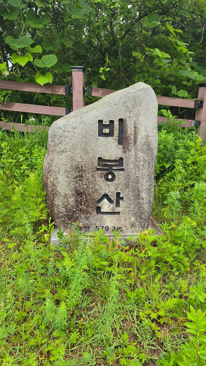 <고향>
의성 다인의 부모님 산소와 비봉산에 다녀왔습니다.
대선 잘 치르었고, 아버지 추도일도 있었고, 모처럼만에 비봉산도 올랐습니다.
사촌형님 덕에 산소도 잘 정비되었고, 산에 오르는 내내 빗소리에 대곡사와 새도  숨 죽인 고즈넉한 등산길입니다.
비봉산에서 보는 들녘의 풍광은 절경입니다.