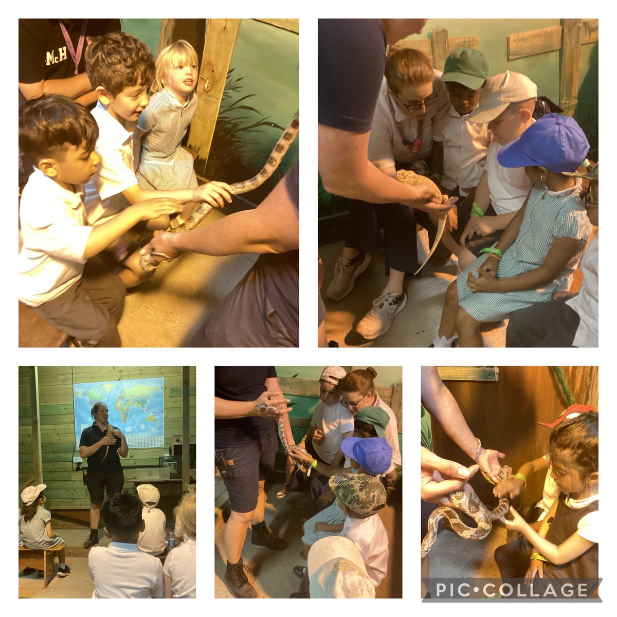 Reception tweet media