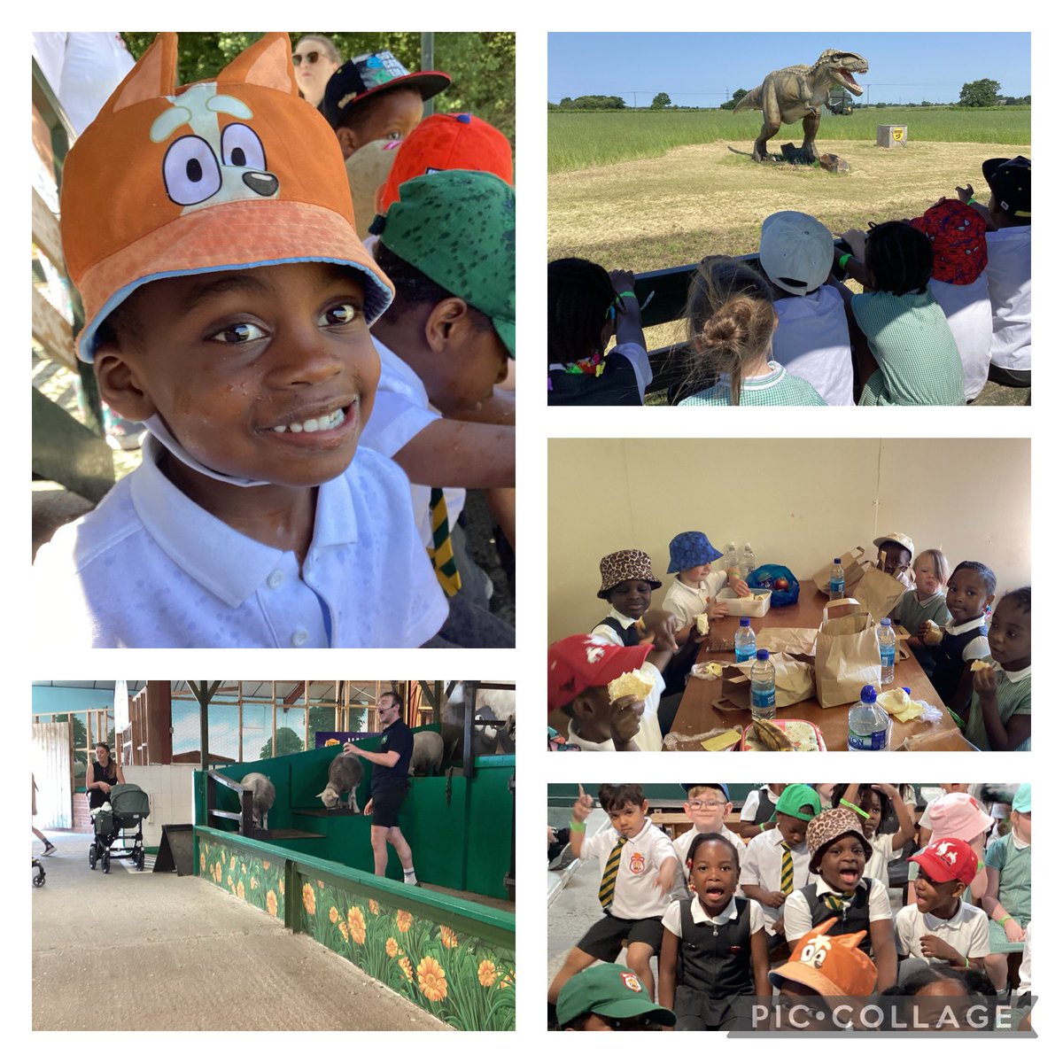 Reception tweet media