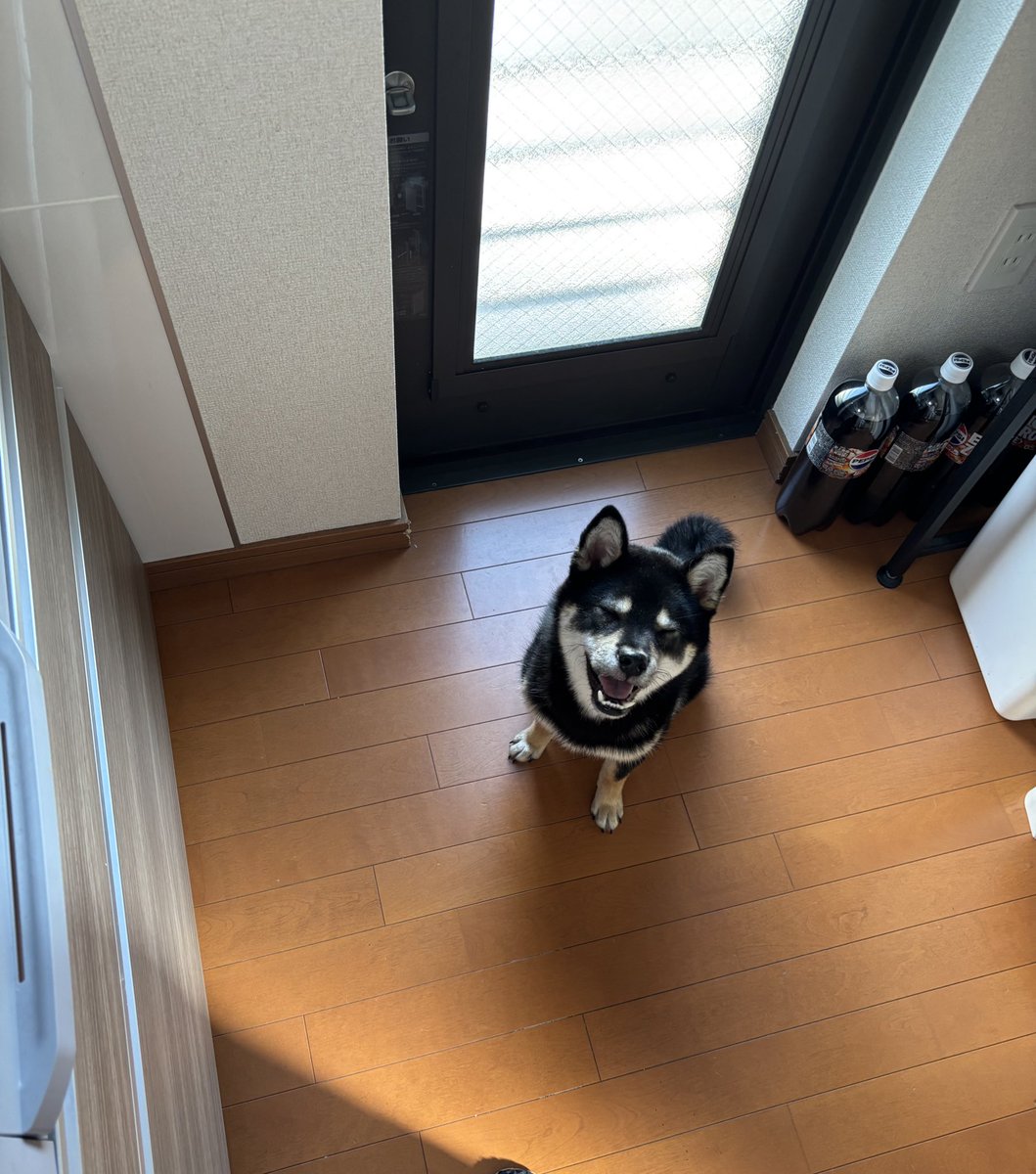 おこげ (@okoge_kawaii_i) on Twitter photo 
