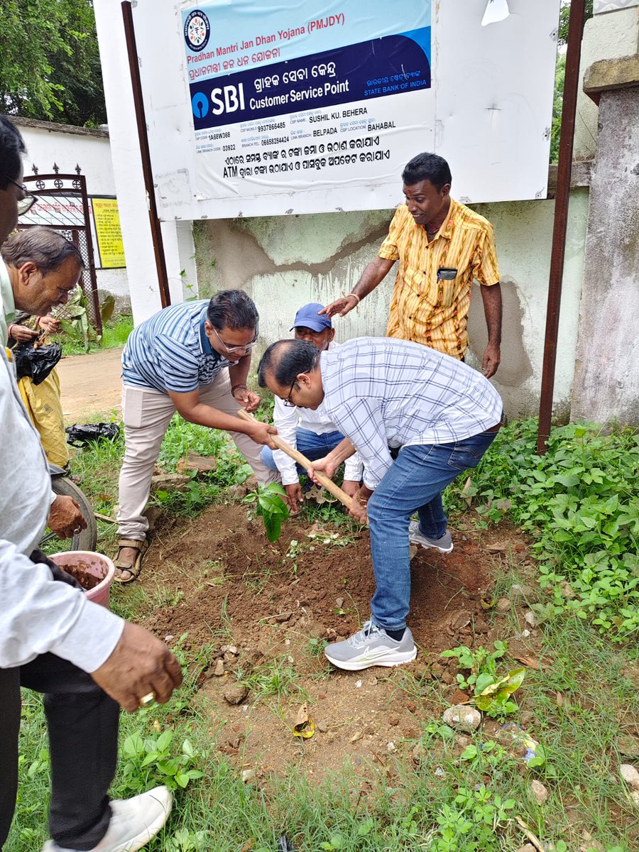 BDO, Belpada tweet media