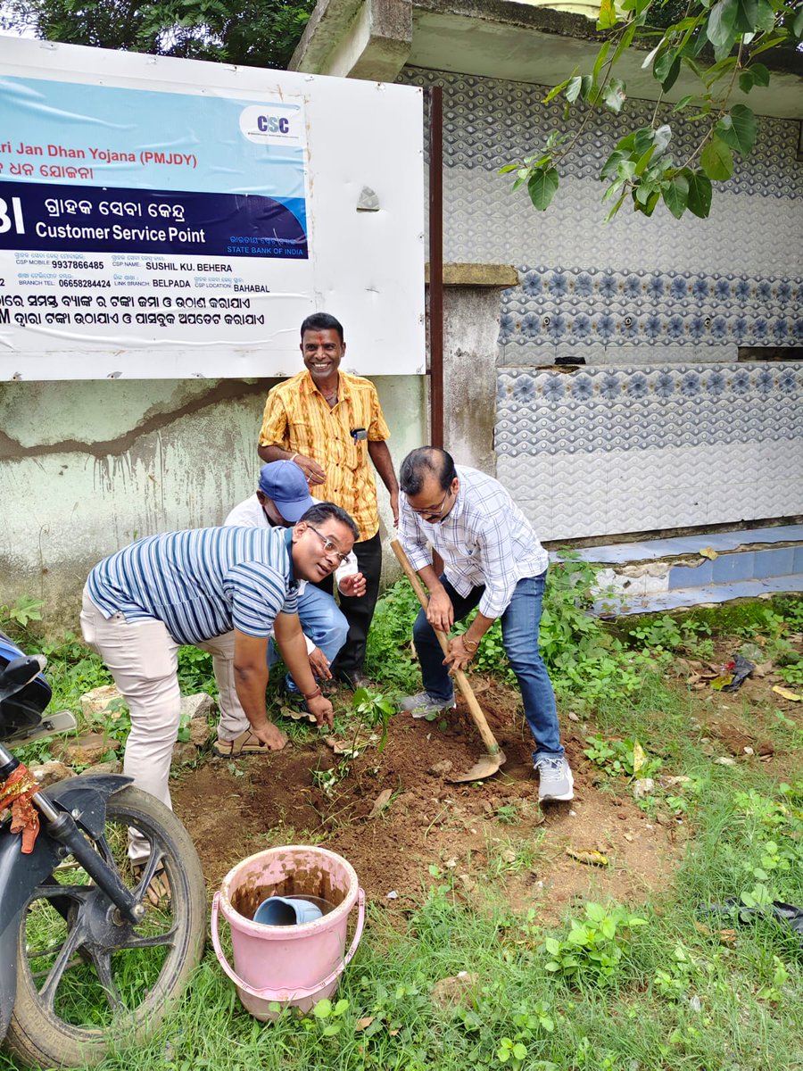 BDO, Belpada tweet media