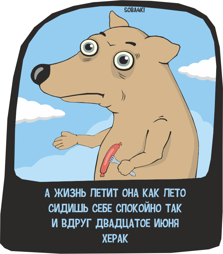 И помните - ещё две таких картинки,  и ваше лето превратится в тыкву! Или в кабачок.